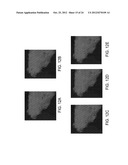 AMORPHOUS AND PARTIALLY AMORPHOUS NANOSCALE ION STORAGE MATERIALS diagram and image