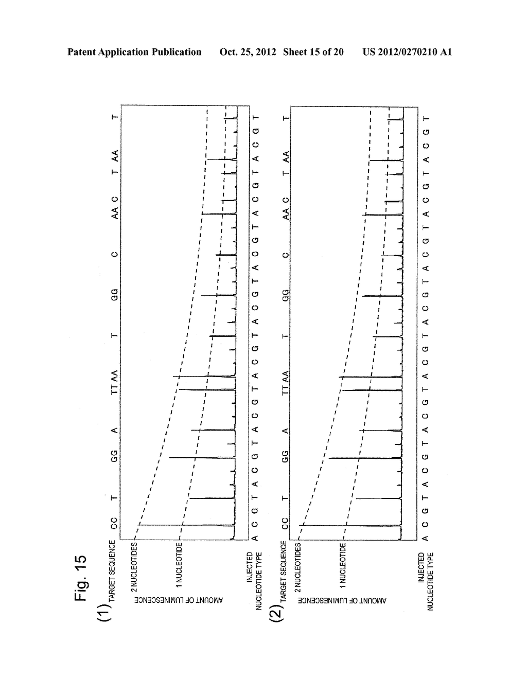 METHOD AND REAGENT FOR GENE SEQUENCE ANALYSIS - diagram, schematic, and image 16