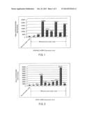 Method for analyzing cervical lymph node metastasis, and tumor marker for     head and neck cancer diagram and image