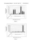 Method for analyzing cervical lymph node metastasis, and tumor marker for     head and neck cancer diagram and image