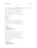 Method for analyzing cervical lymph node metastasis, and tumor marker for     head and neck cancer diagram and image