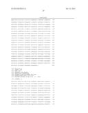 Method for analyzing cervical lymph node metastasis, and tumor marker for     head and neck cancer diagram and image