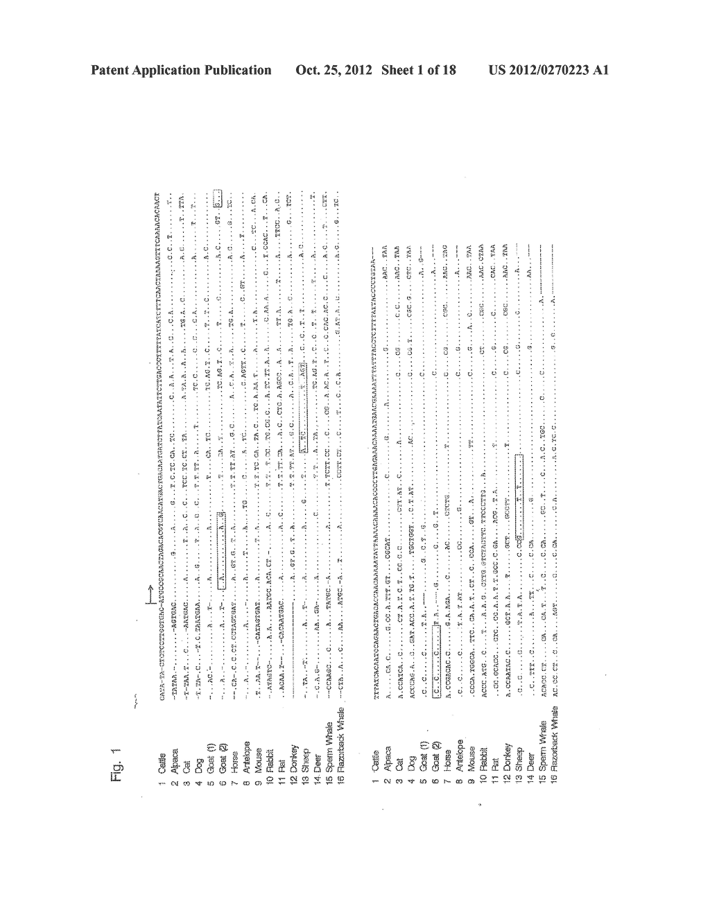 OLIGONUCLEOTIDE SEQUENCES THAT IDENTIFY SPECIES OF ANIMAL - diagram, schematic, and image 02