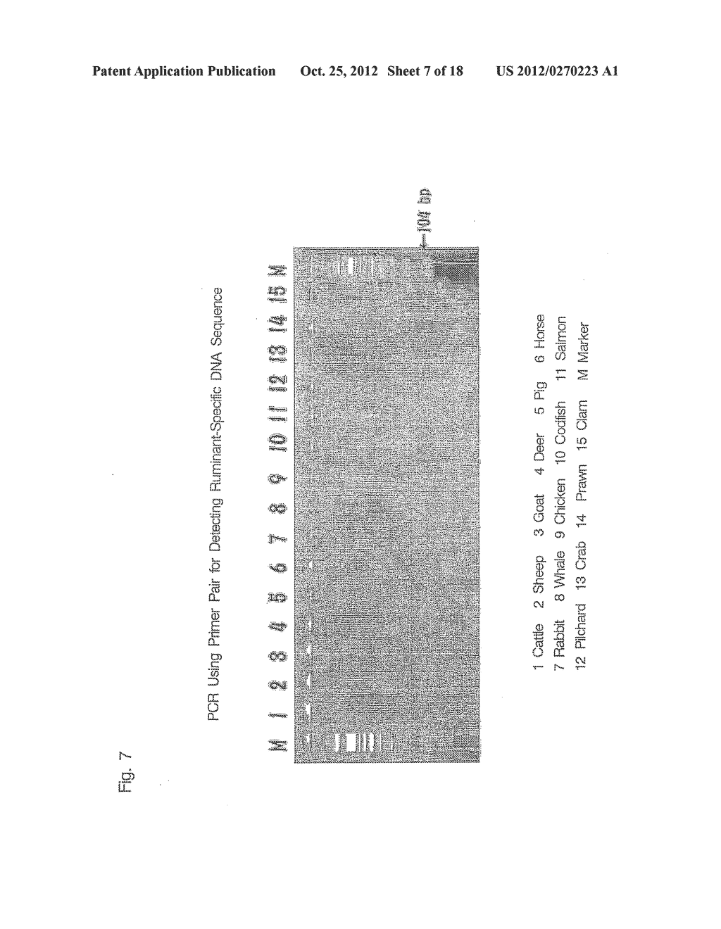 OLIGONUCLEOTIDE SEQUENCES THAT IDENTIFY SPECIES OF ANIMAL - diagram, schematic, and image 08