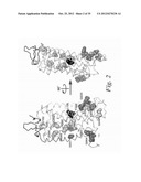 MUTANT G-PROTEIN COUPLED RECEPTORS AND METHODS FOR SELECTING THEM diagram and image