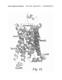 MUTANT G-PROTEIN COUPLED RECEPTORS AND METHODS FOR SELECTING THEM diagram and image