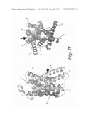 MUTANT G-PROTEIN COUPLED RECEPTORS AND METHODS FOR SELECTING THEM diagram and image