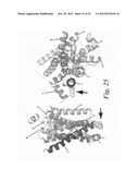 MUTANT G-PROTEIN COUPLED RECEPTORS AND METHODS FOR SELECTING THEM diagram and image