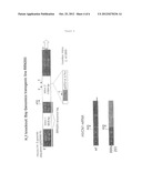 VOLTAGE-GATED PROTON CHANNEL, Hv1, AND USES THEREFOR diagram and image