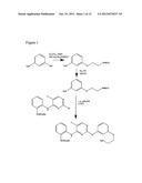 METHODS FOR THE IDENTIFICATION OF KINASE INTERACTING MOLECULES AND FOR THE     PURIFICATION OF KINASE PROTEINS diagram and image