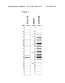 METHODS FOR THE IDENTIFICATION OF KINASE INTERACTING MOLECULES AND FOR THE     PURIFICATION OF KINASE PROTEINS diagram and image