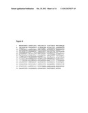 METHODS FOR THE IDENTIFICATION OF KINASE INTERACTING MOLECULES AND FOR THE     PURIFICATION OF KINASE PROTEINS diagram and image