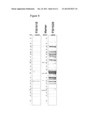 METHODS FOR THE IDENTIFICATION OF KINASE INTERACTING MOLECULES AND FOR THE     PURIFICATION OF KINASE PROTEINS diagram and image