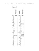 METHODS FOR THE IDENTIFICATION OF KINASE INTERACTING MOLECULES AND FOR THE     PURIFICATION OF KINASE PROTEINS diagram and image