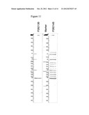 METHODS FOR THE IDENTIFICATION OF KINASE INTERACTING MOLECULES AND FOR THE     PURIFICATION OF KINASE PROTEINS diagram and image