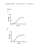 METHODS FOR THE IDENTIFICATION OF KINASE INTERACTING MOLECULES AND FOR THE     PURIFICATION OF KINASE PROTEINS diagram and image