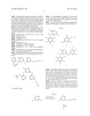 METHODS FOR THE IDENTIFICATION OF KINASE INTERACTING MOLECULES AND FOR THE     PURIFICATION OF KINASE PROTEINS diagram and image