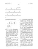 METHODS FOR THE IDENTIFICATION OF KINASE INTERACTING MOLECULES AND FOR THE     PURIFICATION OF KINASE PROTEINS diagram and image