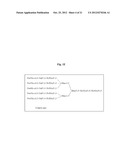 PROCOLLAGEN C-PROTEINASE ENHANCER (PCPE) BIOMARKER FOR BONE FORMATION diagram and image