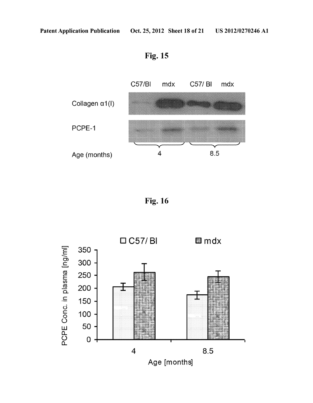 PROCOLLAGEN C-PROTEINASE ENHANCER (PCPE) BIOMARKER FOR BONE FORMATION - diagram, schematic, and image 19