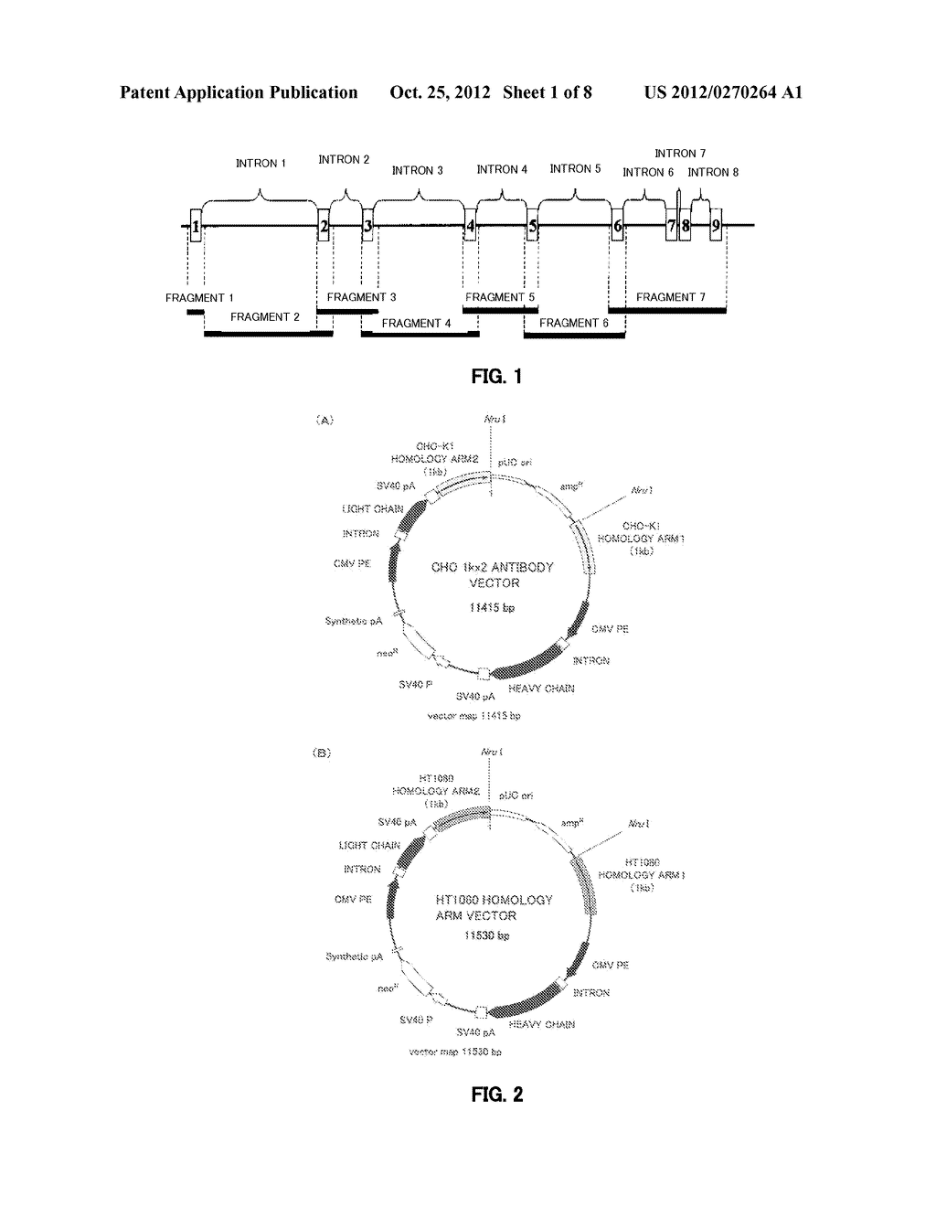 DNA CONSTRUCT, AND PROCESS FOR PRODUCTION OF RECOMBINANT CHO CELL USING     SAME - diagram, schematic, and image 02