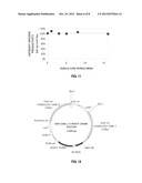 DNA CONSTRUCT, AND PROCESS FOR PRODUCTION OF RECOMBINANT CHO CELL USING     SAME diagram and image