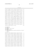 DNA CONSTRUCT, AND PROCESS FOR PRODUCTION OF RECOMBINANT CHO CELL USING     SAME diagram and image