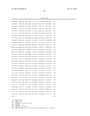 DNA CONSTRUCT, AND PROCESS FOR PRODUCTION OF RECOMBINANT CHO CELL USING     SAME diagram and image