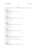 DNA CONSTRUCT, AND PROCESS FOR PRODUCTION OF RECOMBINANT CHO CELL USING     SAME diagram and image