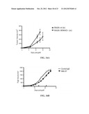 Anti-CD100 Neutralizing Antibodies and Methods of Using the Same diagram and image