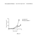 Anti-CD100 Neutralizing Antibodies and Methods of Using the Same diagram and image