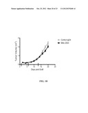 Anti-CD100 Neutralizing Antibodies and Methods of Using the Same diagram and image