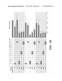 TRANSCRIPTION ACTIVATOR-LIKE EFFECTORS diagram and image