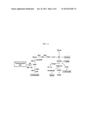 NOVEL METHOD OF PRODUCING 3-HYDROXYPROPIONIC ACID FROM GLYCEROL diagram and image