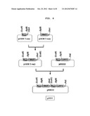 NOVEL METHOD OF PRODUCING 3-HYDROXYPROPIONIC ACID FROM GLYCEROL diagram and image