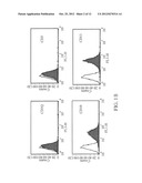 NON-TUMORIGENIC EXPANSION OF PLURIPOTENT STEM CELLS diagram and image