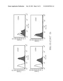 NON-TUMORIGENIC EXPANSION OF PLURIPOTENT STEM CELLS diagram and image