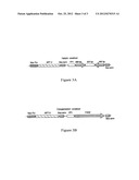METHODS AND MEANS FOR OBTAINING MODIFIED PHENOTYPES diagram and image