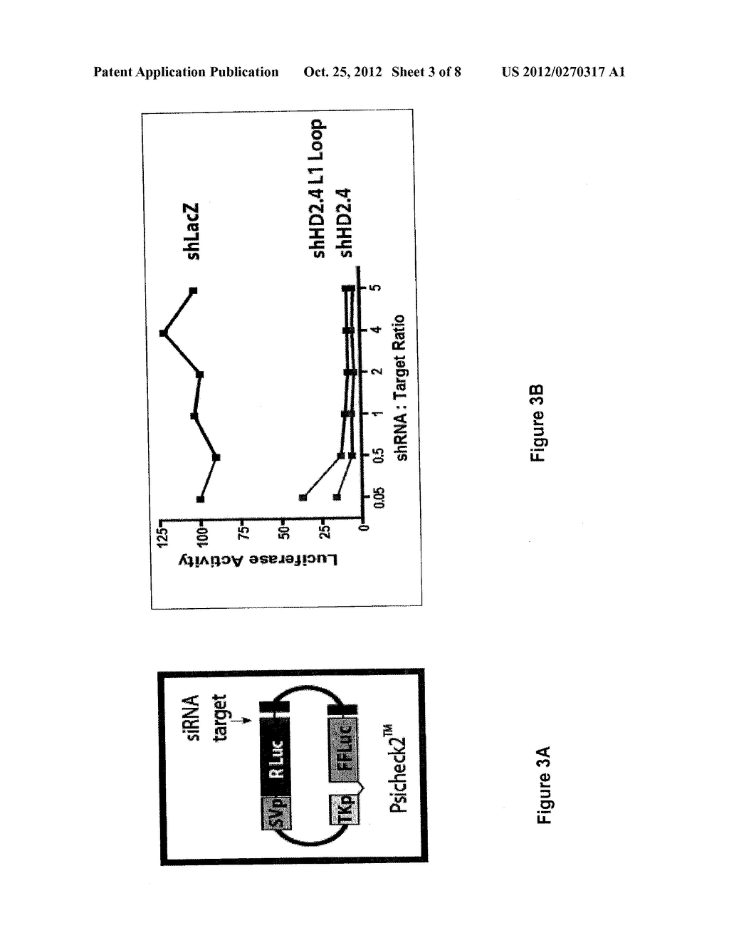 ALTERNATIVE EXPORT PATHWAYS FOR VECTOR EXPRESSED RNA INTERFERENCE - diagram, schematic, and image 04