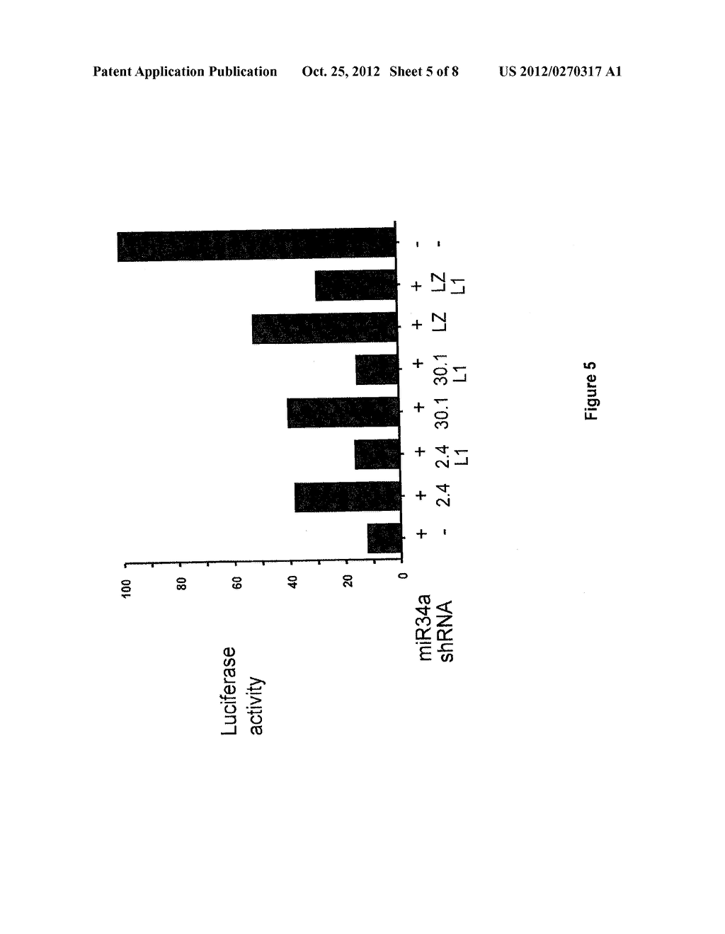 ALTERNATIVE EXPORT PATHWAYS FOR VECTOR EXPRESSED RNA INTERFERENCE - diagram, schematic, and image 06