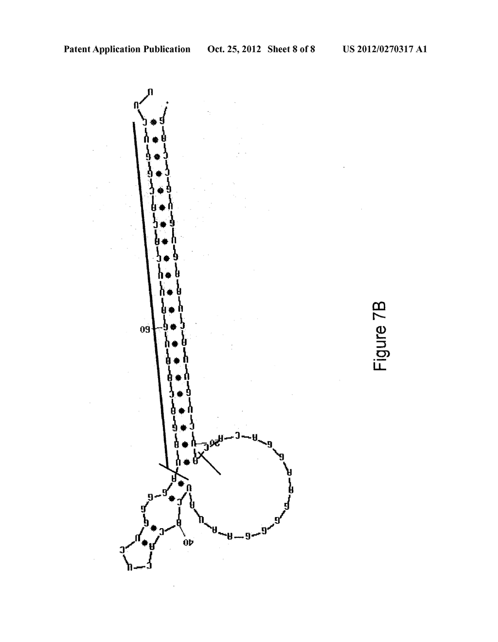 ALTERNATIVE EXPORT PATHWAYS FOR VECTOR EXPRESSED RNA INTERFERENCE - diagram, schematic, and image 09