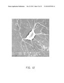 CULTURE MEDIUM AND MANUFACTURING METHOD THEREOF diagram and image