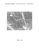 CULTURE MEDIUM AND MANUFACTURING METHOD THEREOF diagram and image