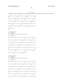 SHUTTLE VECTORS FOR MYCOBACTERIA-ESCHERICHIA COLI AND USES THEREOF diagram and image