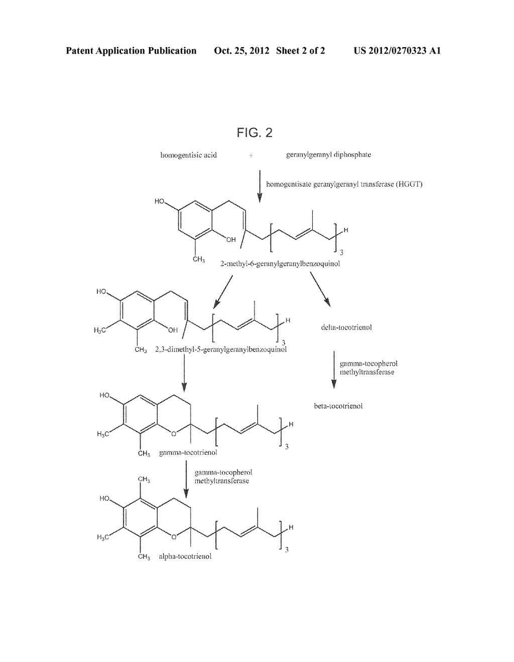 COMPOSITIONS AND METHODS FOR ALTERING ALPHA- AND BETA-TOCOTRIENOL CONTENT - diagram, schematic, and image 03