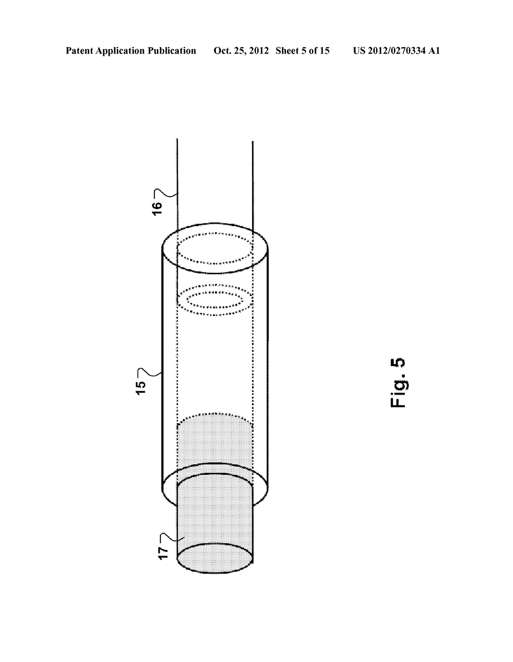 PRECONCENTRATING A SAMPLE - diagram, schematic, and image 06