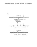 LUBRICANT OIL, FRICTION MEMBER, AND GEAR-TYPE DIFFERENTIAL WITH     DIFFERENTIAL LIMITING FUNCTION diagram and image