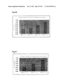 LUBRICANT OIL, FRICTION MEMBER, AND GEAR-TYPE DIFFERENTIAL WITH     DIFFERENTIAL LIMITING FUNCTION diagram and image