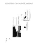 LUBRICANT OIL, FRICTION MEMBER, AND GEAR-TYPE DIFFERENTIAL WITH     DIFFERENTIAL LIMITING FUNCTION diagram and image