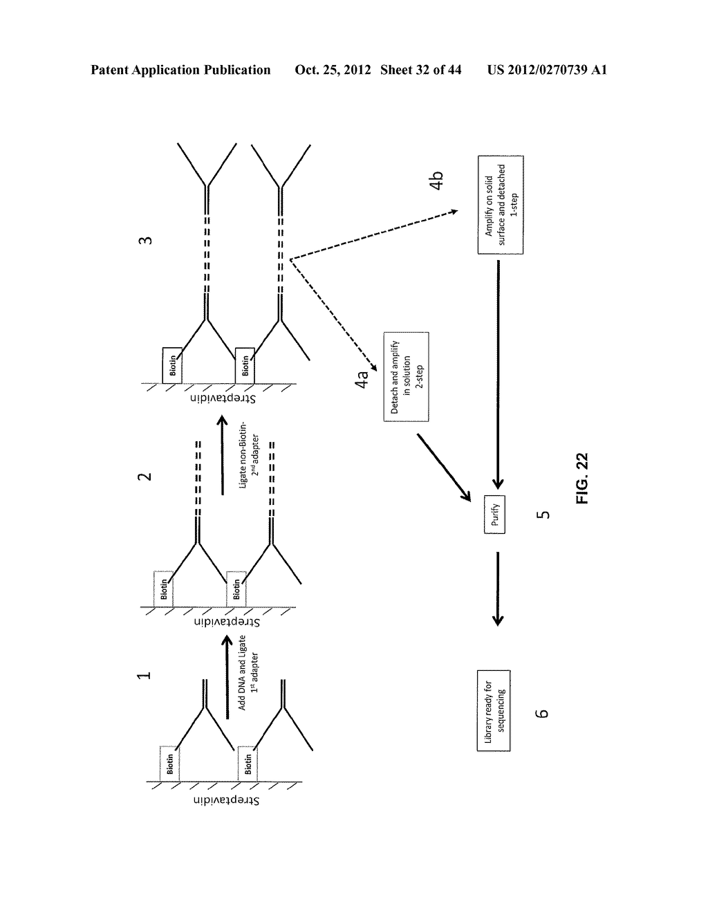 METHOD FOR SAMPLE ANALYSIS OF ANEUPLOIDIES IN MATERNAL SAMPLES - diagram, schematic, and image 33